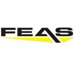 FEAS-Logo-200