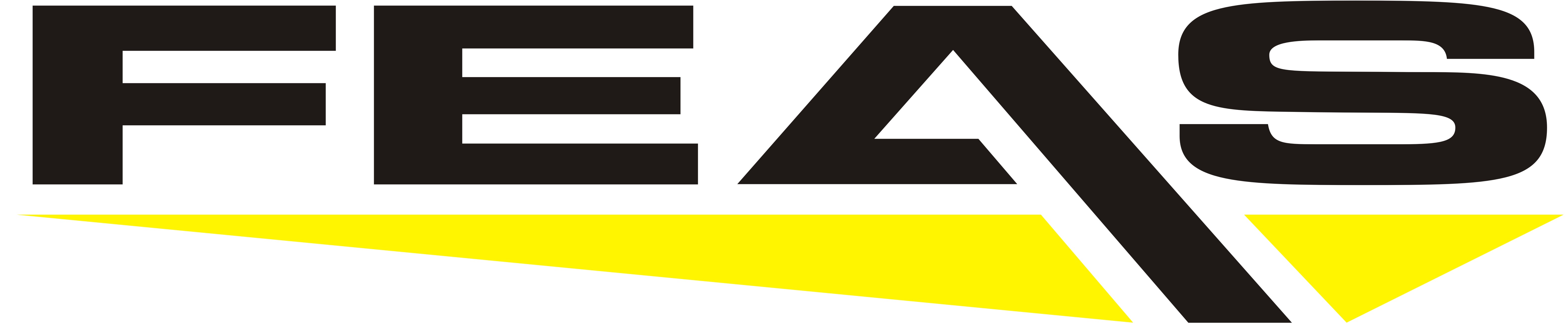 FEAS-Logo1